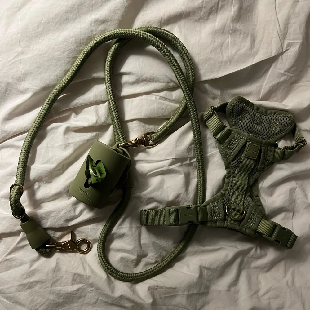 Awoo Walk Set Bundle